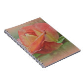 Peachy Rose Blossom Notizblock (Rechte Seite)
