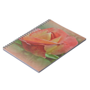 Peachy Rose Blossom Notizblock