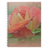 Peachy Rose Blossom Notizblock (Vorderseite)