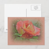Peachy Rose Blossom Postkarte (Vorne/Hinten)