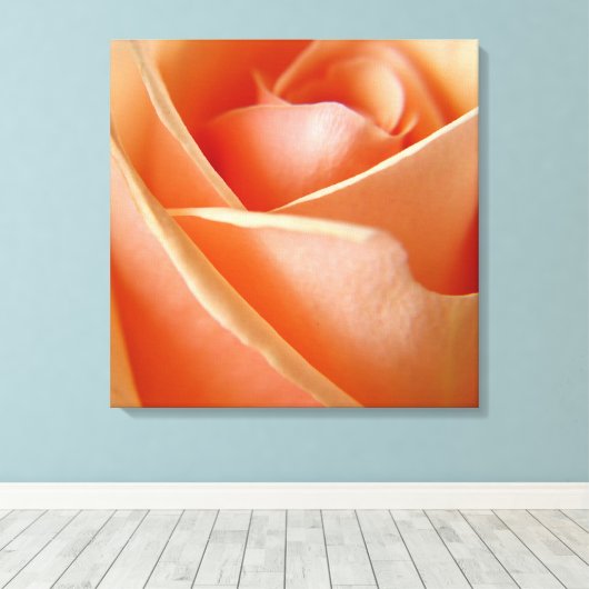 Peachy Rose Leinwanddruck (Insitu (Holzboden))