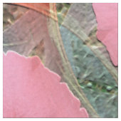 Peachy.... Stoff (Nahaufnahme)