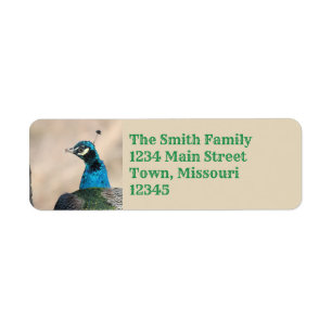 Peacock