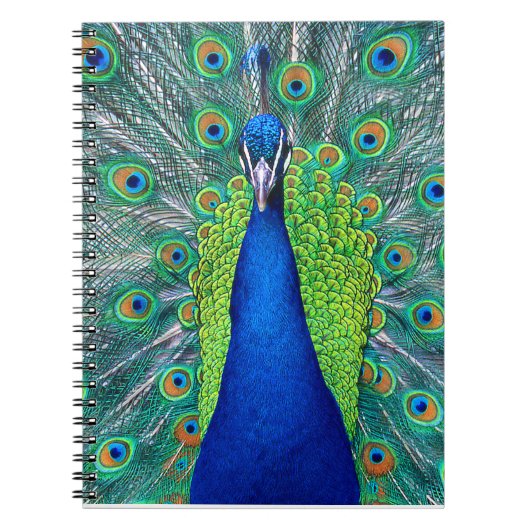Peacock#1 Notizblock (Vorderseite)