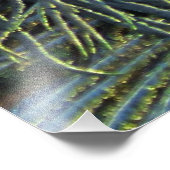 Peacock 20160301 fotodruck (Ecke)