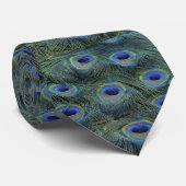 Peacock 20160301 krawatte (Gerollt)