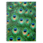 Peacock#2-Notebook Notizblock (Vorderseite)