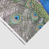 peacock-3.jpg seidenpapier (Ausschnitt)