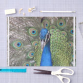 peacock-3.jpg seidenpapier (Handwerk)