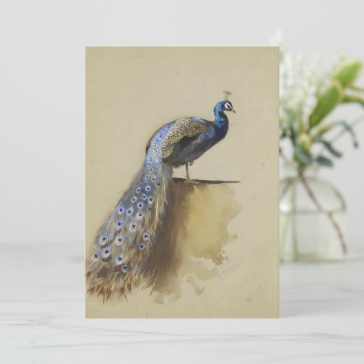 Peacock | Archibald Thorburn (Stehend Vorderseite)