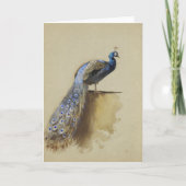 Peacock | Archibald Thorburn Karte (Vorderseite)