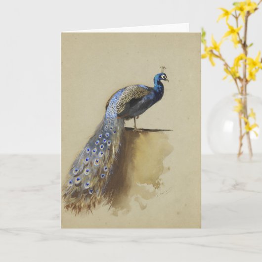 Peacock | Archibald Thorburn Karte (Gelbe Blume)