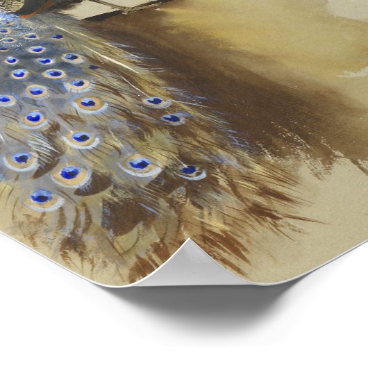 Peacock | Archibald Thorburn Poster (Ecke)
