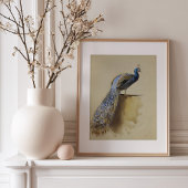 Peacock | Archibald Thorburn Poster