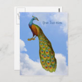 Peacock Art Bird Postkarte (Vorne/Hinten)