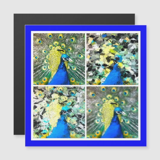 Peacock Art Magnetkarte (Vorne/Hinten)