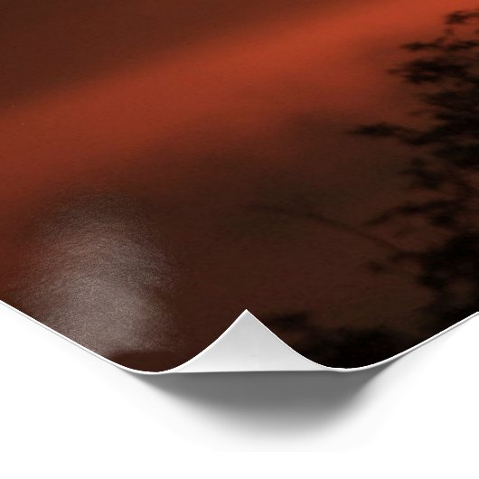 Peacock at Sunrise Poster (Ecke)