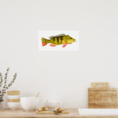 Peacock Bass Print Poster (Küche)
