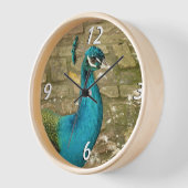 Peacock Beautiful Blue Bird Nature Fotografy Uhr (Winkel)