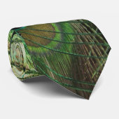 Peacock Beauty - Krawatte (Gerollt)