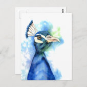Peacock Bird - Farbe des Meeres Postkarte (Vorne/Hinten)