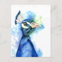 Peacock Bird - Farbe des Meeres