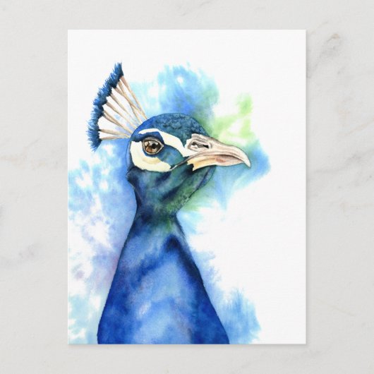Peacock Bird - Farbe des Meeres Postkarte (Vorderseite)