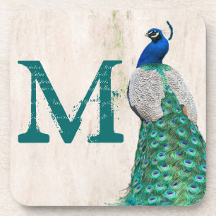 Peacock Bird Feather Aquamarin Monogram Drink Unte Untersetzer