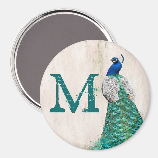 Peacock Bird Feather Aquamarin Monogram Initial Ma Magnet (Vorderseite/Rückseite)