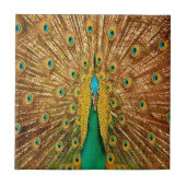 Peacock Bird Feathers Fliese (Vorderseite)