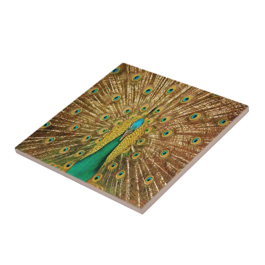 Peacock Bird Feathers Fliese (Seite)