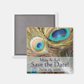 Peacock Bird Feathers Wildlife Animals Magnet (Vorderseite/Rückseite)