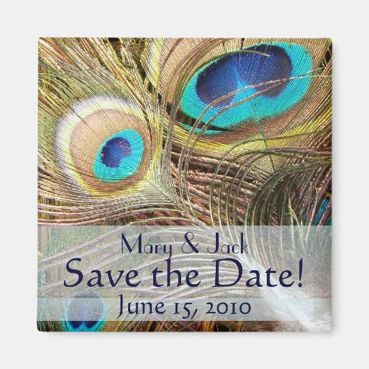 Peacock Bird Feathers Wildlife Animals Magnet (Vorne)