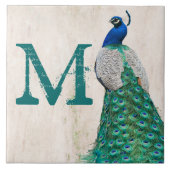 Peacock Bird Fether Aquamarine Monogram Display Ti Fliese (Vorderseite)