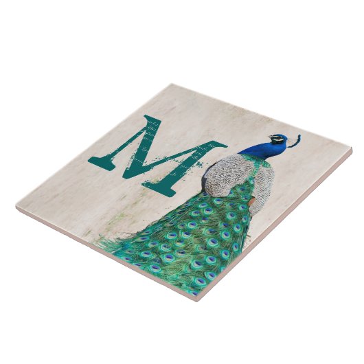 Peacock Bird Fether Aquamarine Monogram Display Ti Fliese (Seite)