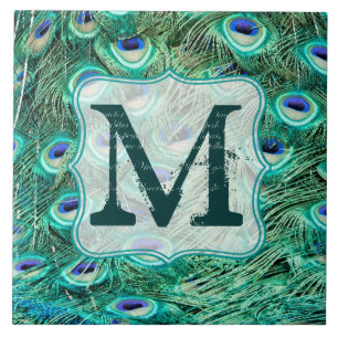 Peacock Bird Fether Aquamarine Monogram Display Ti Fliese