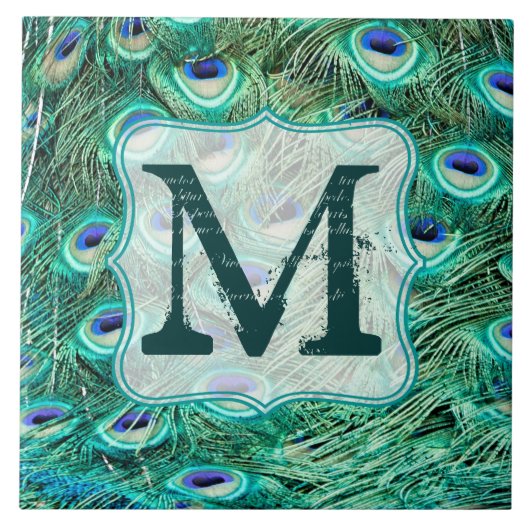 Peacock Bird Fether Aquamarine Monogram Display Ti Fliese (Vorderseite)
