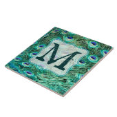 Peacock Bird Fether Aquamarine Monogram Display Ti Fliese (Seite)