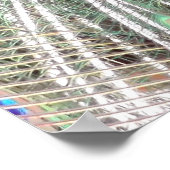 Peacock Bird Foto Nature Wall Poster (Ecke)