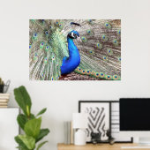 Peacock Bird Foto Nature Wall Poster (Heimbüro)