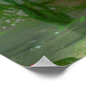 Peacock Bird Foto Nature Wall Poster (Ecke)