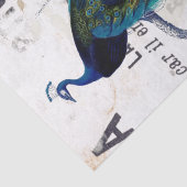 Peacock Bird Französische Typografie und blaue Ent Seidenpapier (Detail)
