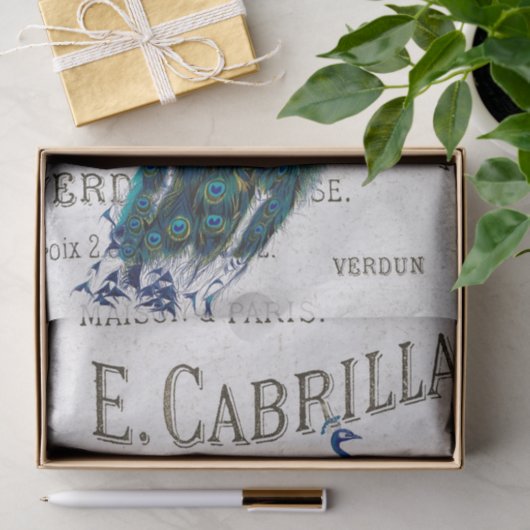 Peacock Bird Französisches Skript Ephemera Decoupa Seidenpapier (Geschenk)