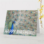 Peacock Bird Geburtstag Big Grußkarte Karte (Gelbe Blume)
