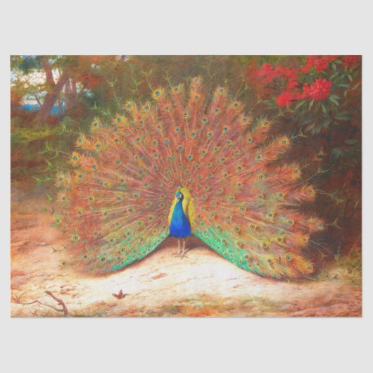 Peacock Bird Wildlife Seidenpapier (Vorderseite)