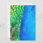 Peacock Blue Green Feather Texture Summer Wedding Einladung (Rückseite)