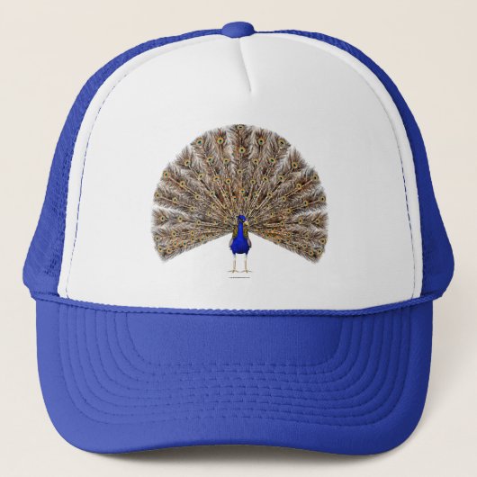 Peacock Blue Hat Truckerkappe (Vorderseite)