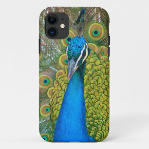 Peacock Blue Head mit bunten Schwanz Feathers Case-Mate iPhone Hülle