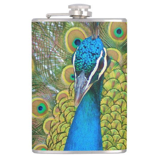 Peacock Blue Head mit bunten Schwanz Feathers Flachmann (Vorderseite)