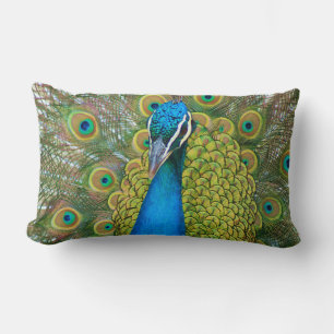 Peacock Blue Head mit bunten Schwanz Feathers Lendenkissen
